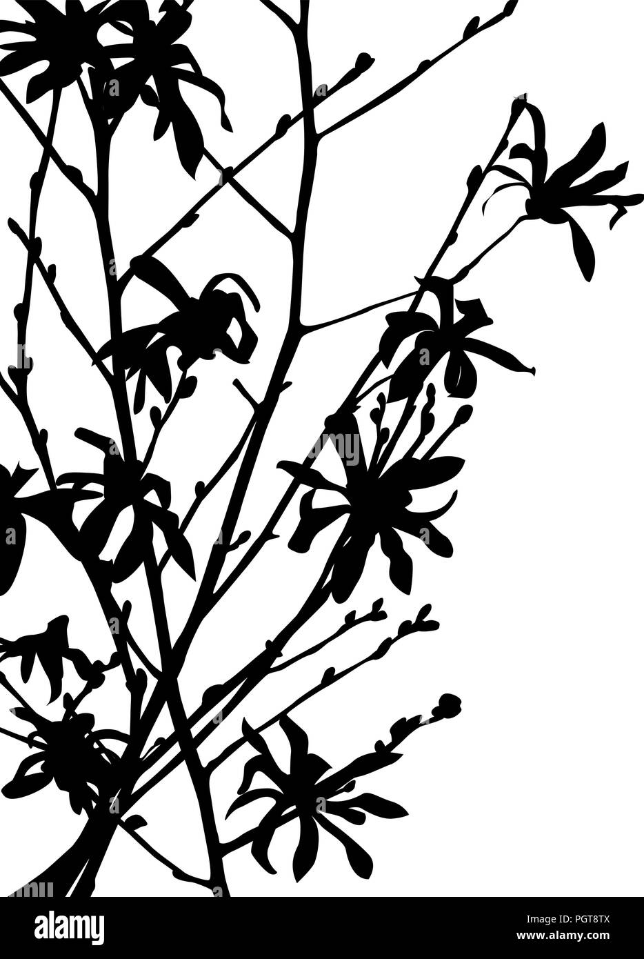 Wild flower silhouette in black and white for print Stock Vector