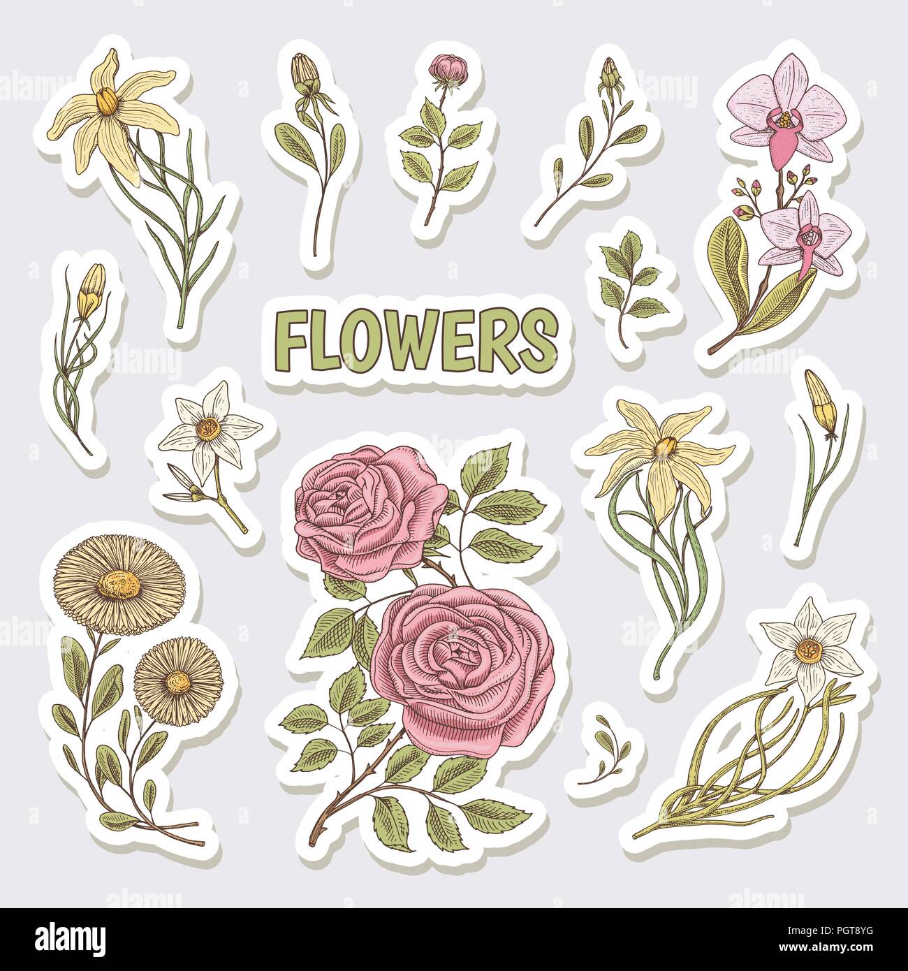 Flowers set of stickers. Wedding botanical garden or plant. Vector  illustration. engraved hand drawn in old victorian sketch. roses with  leaves and buds, herb medicinal chamomile daffodil orchid lily Stock Vector  Image