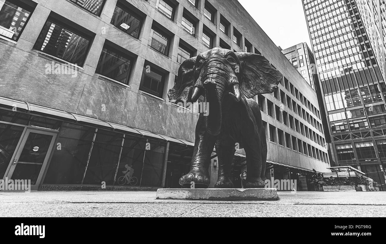 You have the strength Stock Photo - Alamy