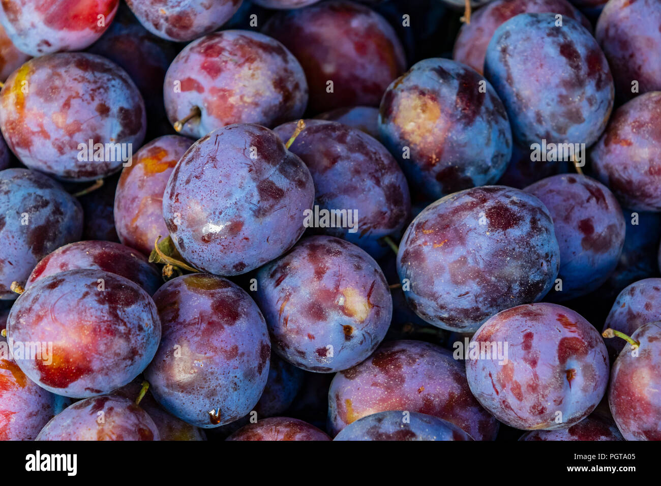 Close Up Damsons Small Purple Black Plumlike Fruit Stock Photo Alamy