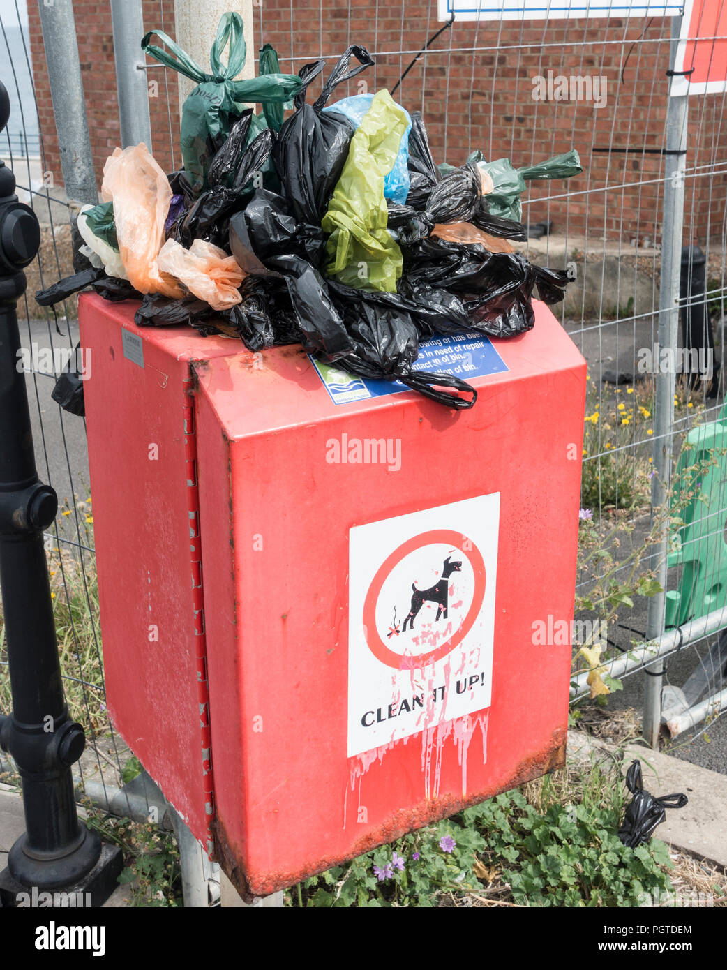 Bin overflowing with bags of dog poo. Stock Photo