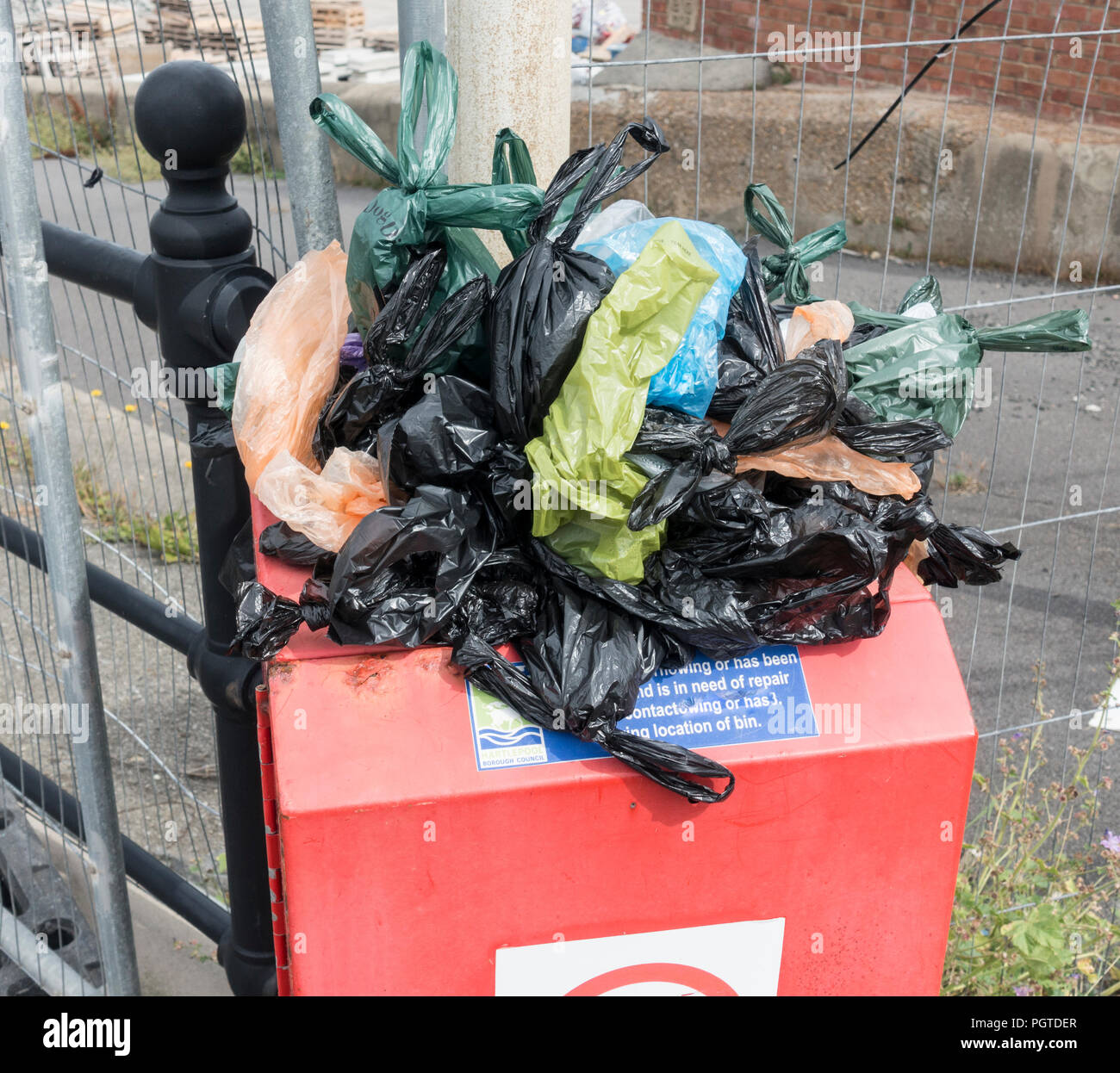 Bin overflowing with bags of dog poo. Stock Photo