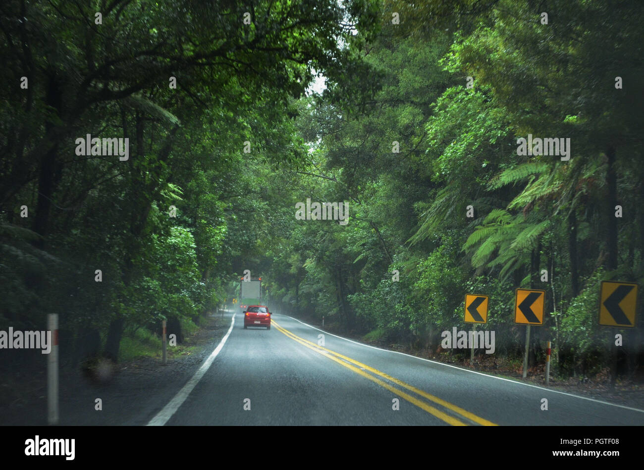 street in a beautiful forest with green trees in New Zealand Stock Photo