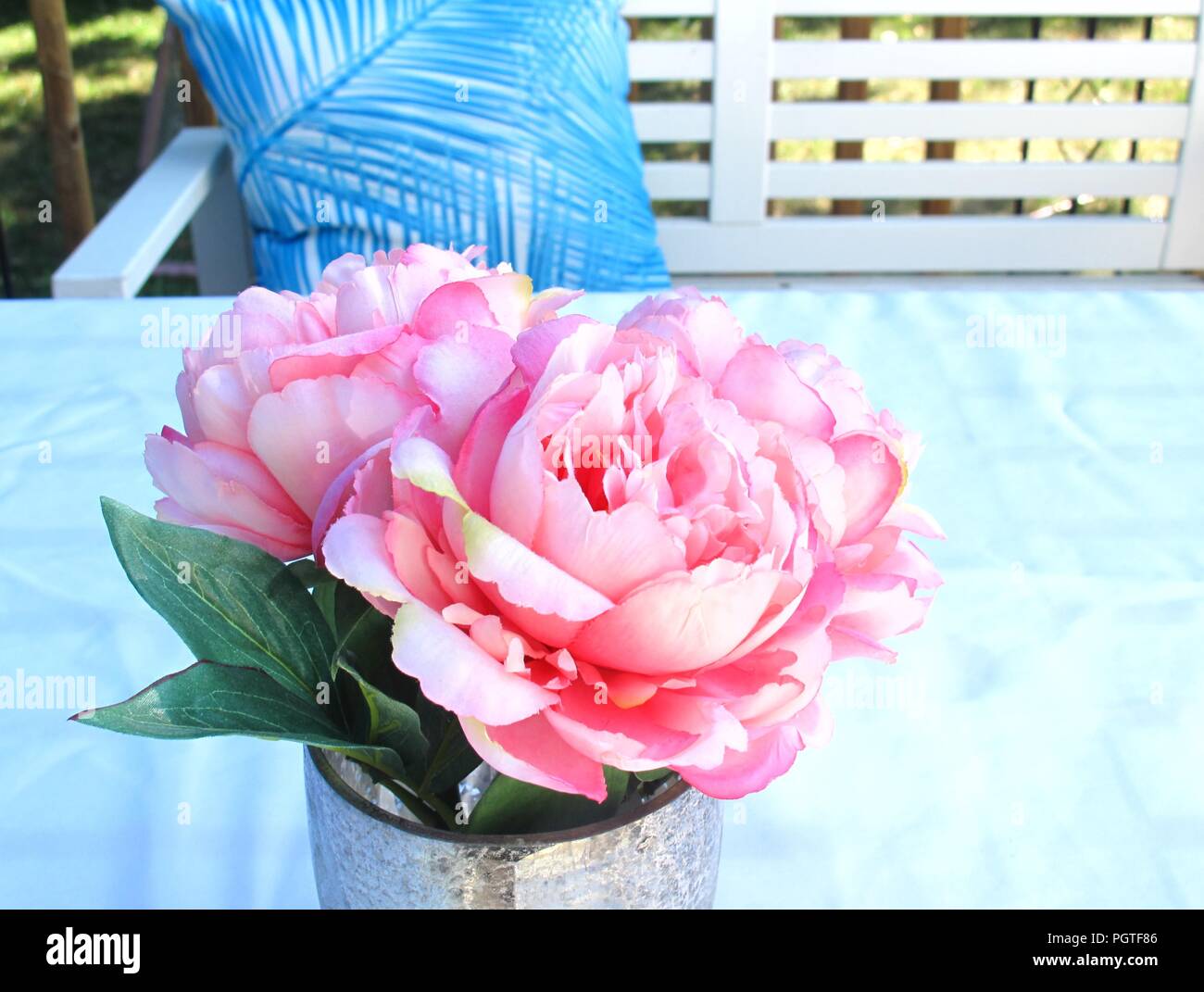 Pink and white peonies in a vase Stock Photo