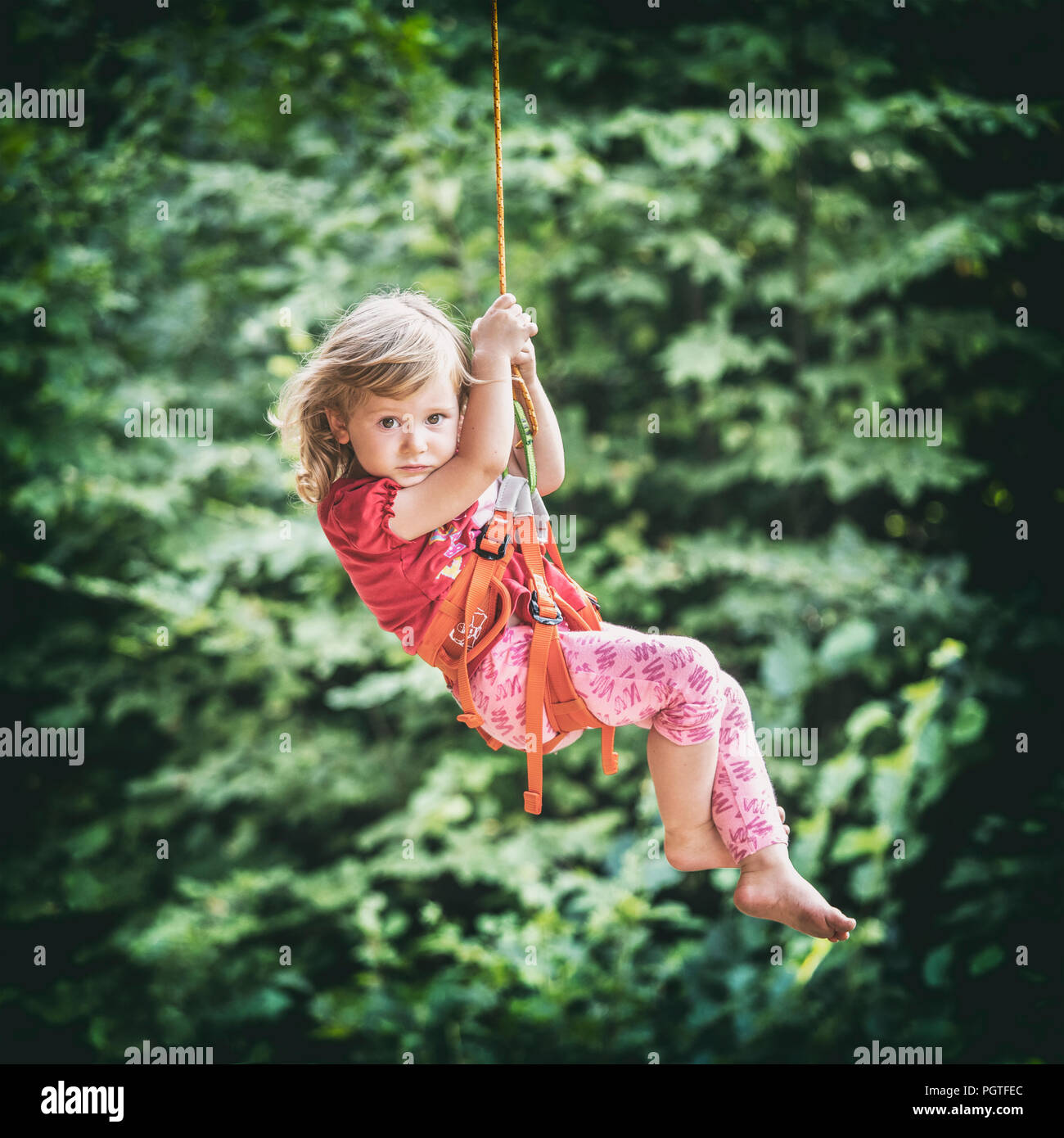 blonde little girl play climbing tree in adventure park Stock Photo