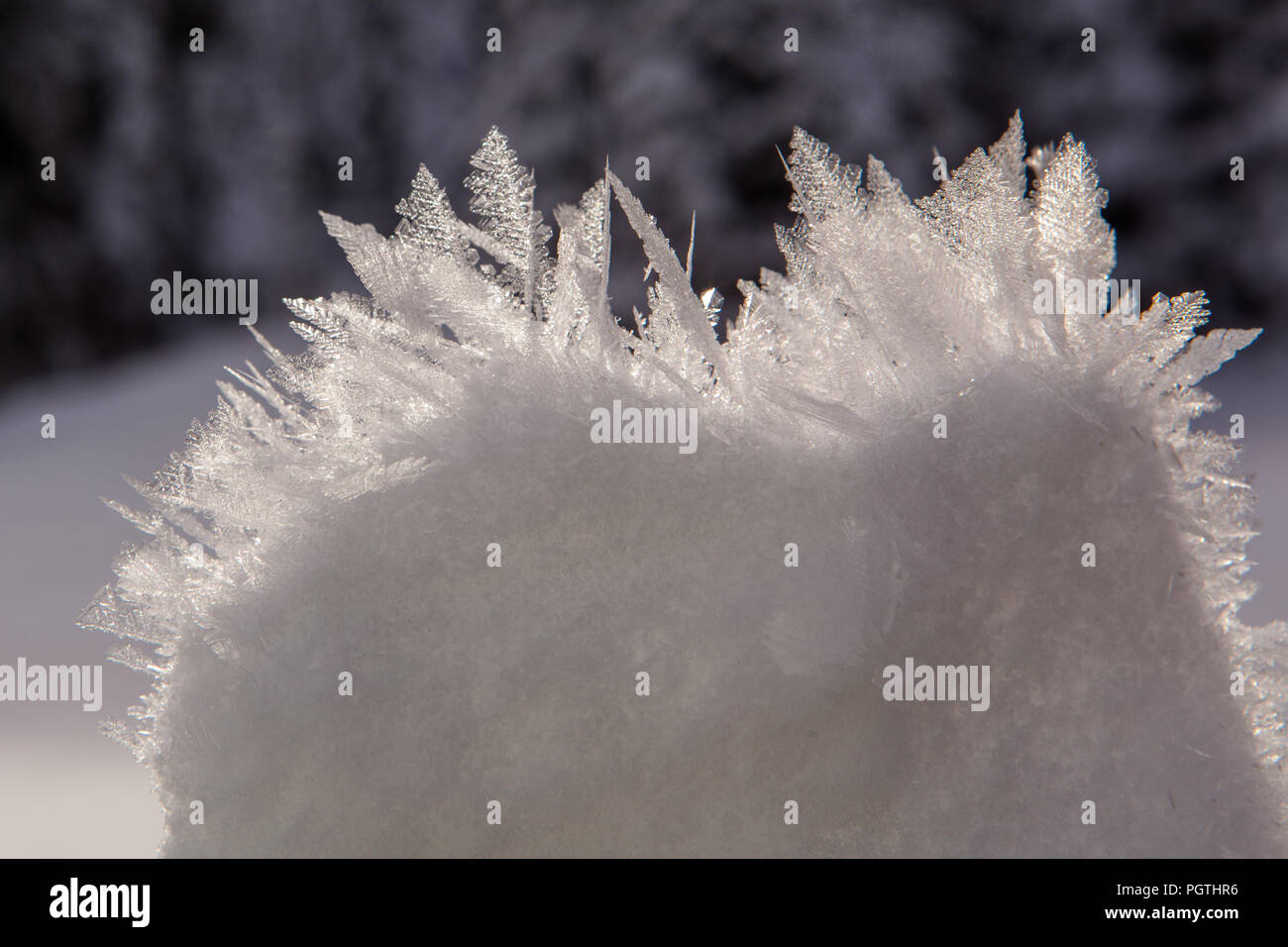 Große Schneekristalle Stock Photo