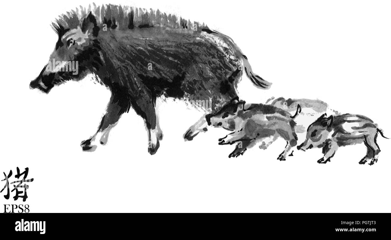 Pig sumi-e illustration. Wild boar mother and piglets oriental ink wash ...