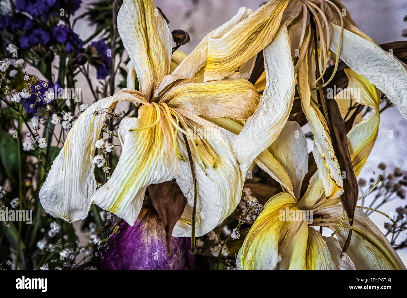 Memorial flower arrangement hires stock photography and images Alamy
