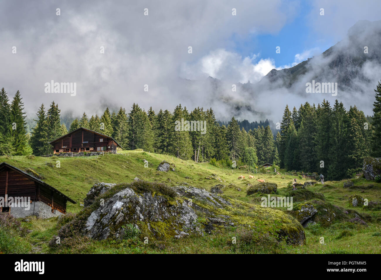 Idyllic view of wooden mountain farm houses in the Swiss Alps, shrouded in mist Stock Photo