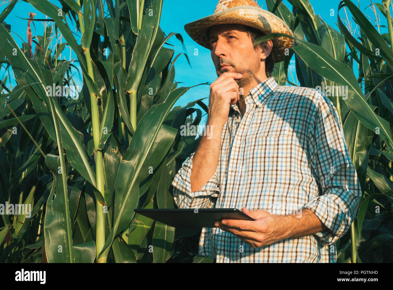 Confident farmer using modern technology hi-res stock photography and ...