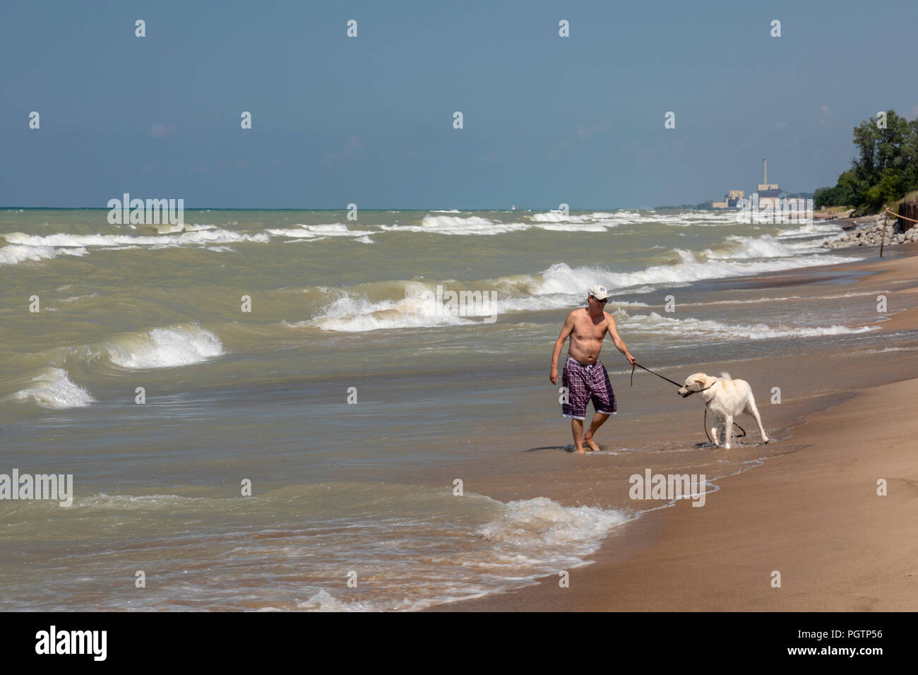 Are Dogs Allowed On Beverly Beach
