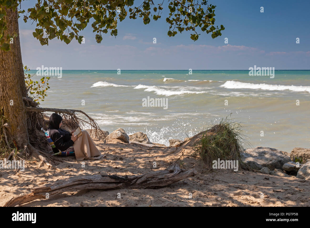 Beverly Shores, Indiana A woman reads under a tree on the beach at