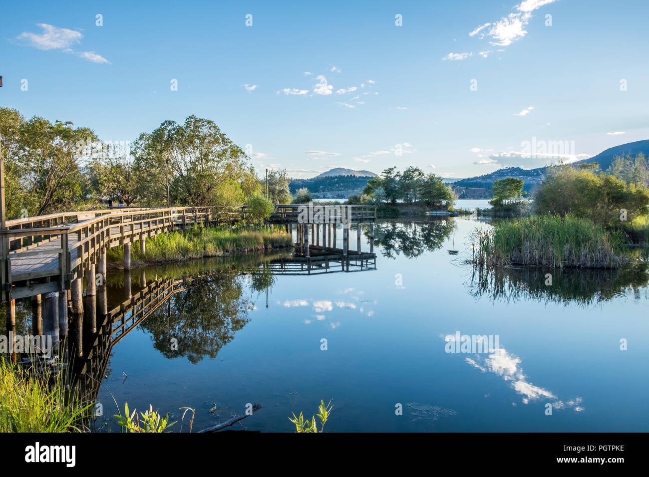A wood bridge wraps along the edge of a pond reflecting in the calm waters in Kelowna British Columbia. Stock Photo
