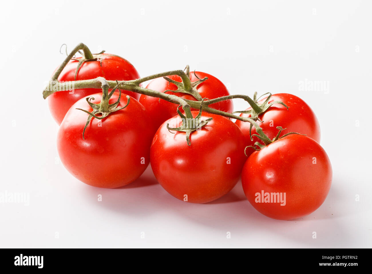 Tomatoes on the vine on a white background. Stock Photo