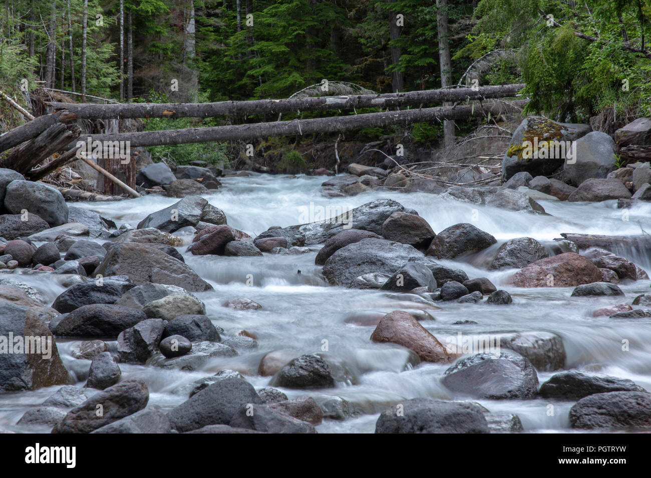 Snags in water hi-res stock photography and images - Alamy