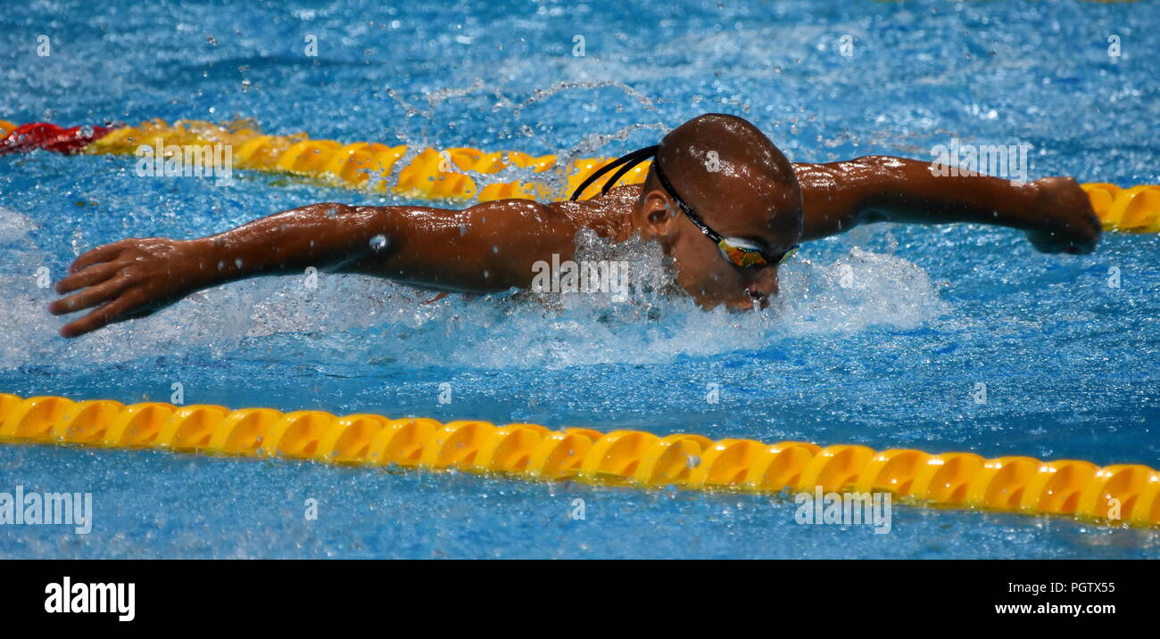 Bul swimming on sale