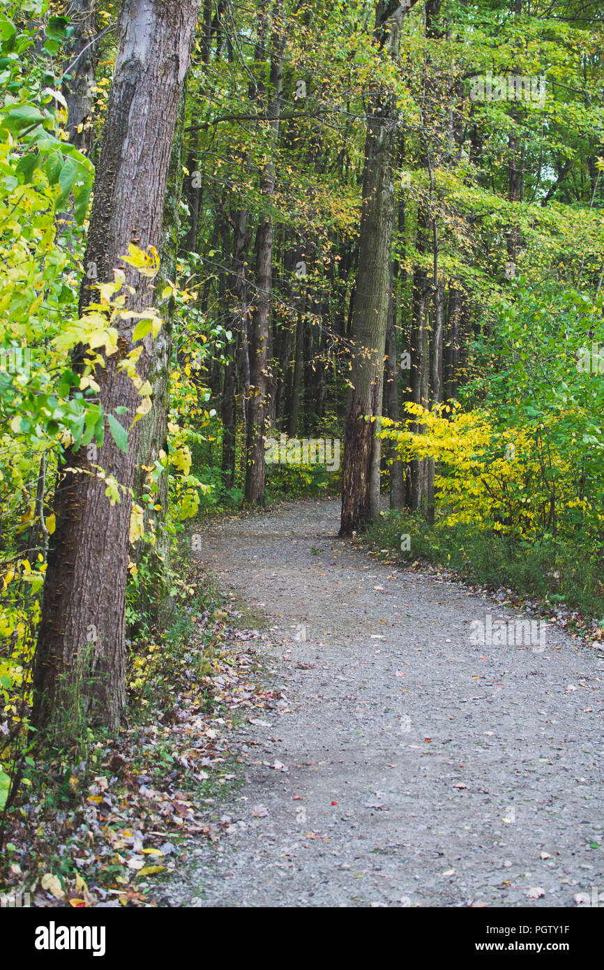 autumn park trail Stock Photo