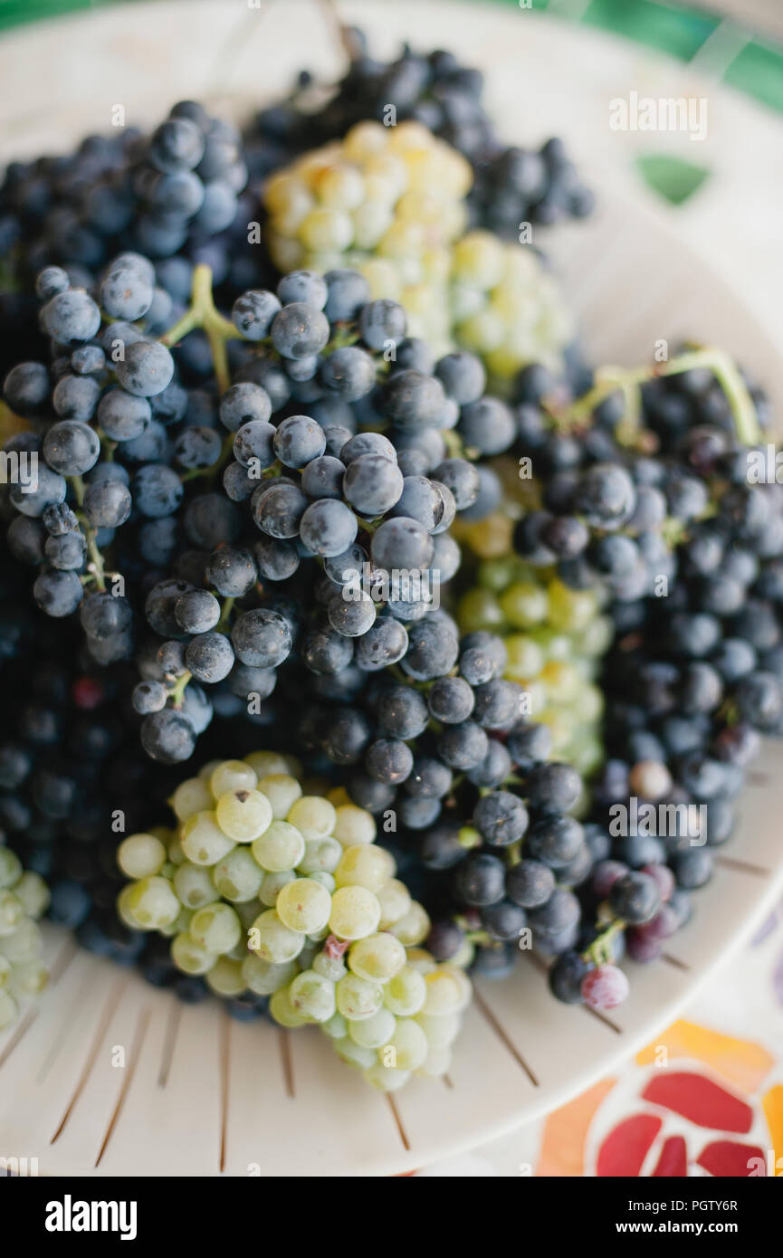 Grape varieties hires stock photography and images Alamy