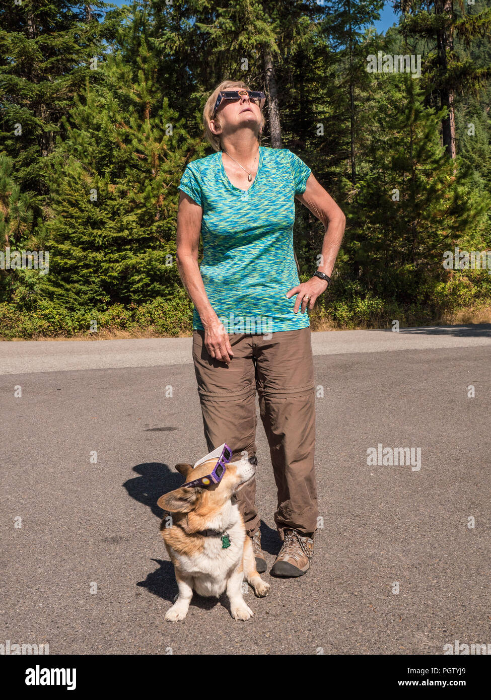 Blonde Woman  An Her Dog Observing A Solar Eclipse Stock Photo