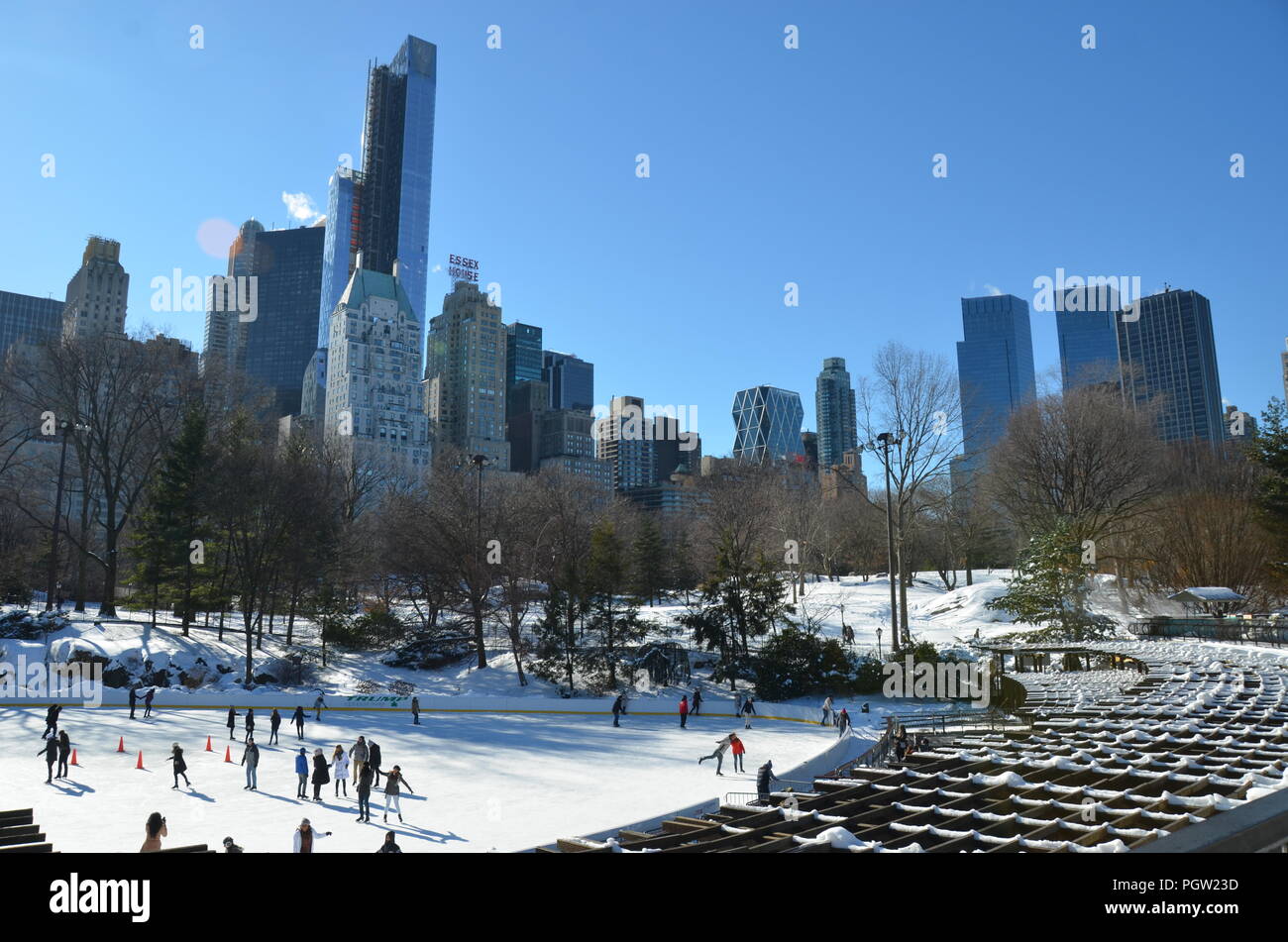 Central Park in the winter. Manhattan. New York. USA. Stock Photo