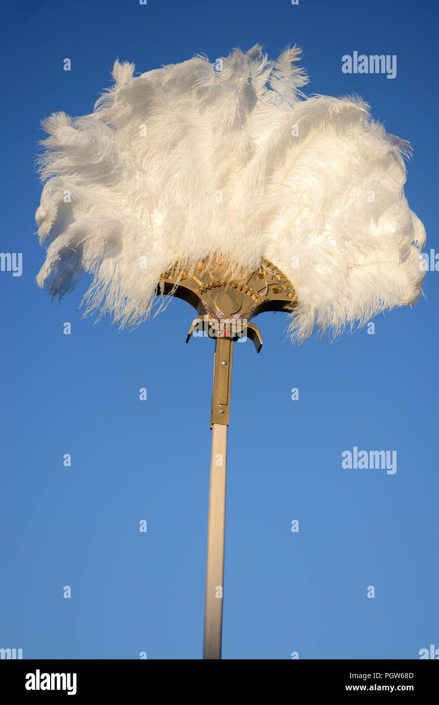 an ostrich feather fan stands out against a blue sky Stock Photo