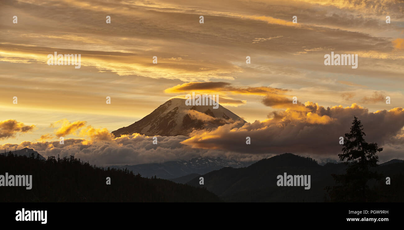 Mt Rainier at sunset with golden clouds and trees Stock Photo
