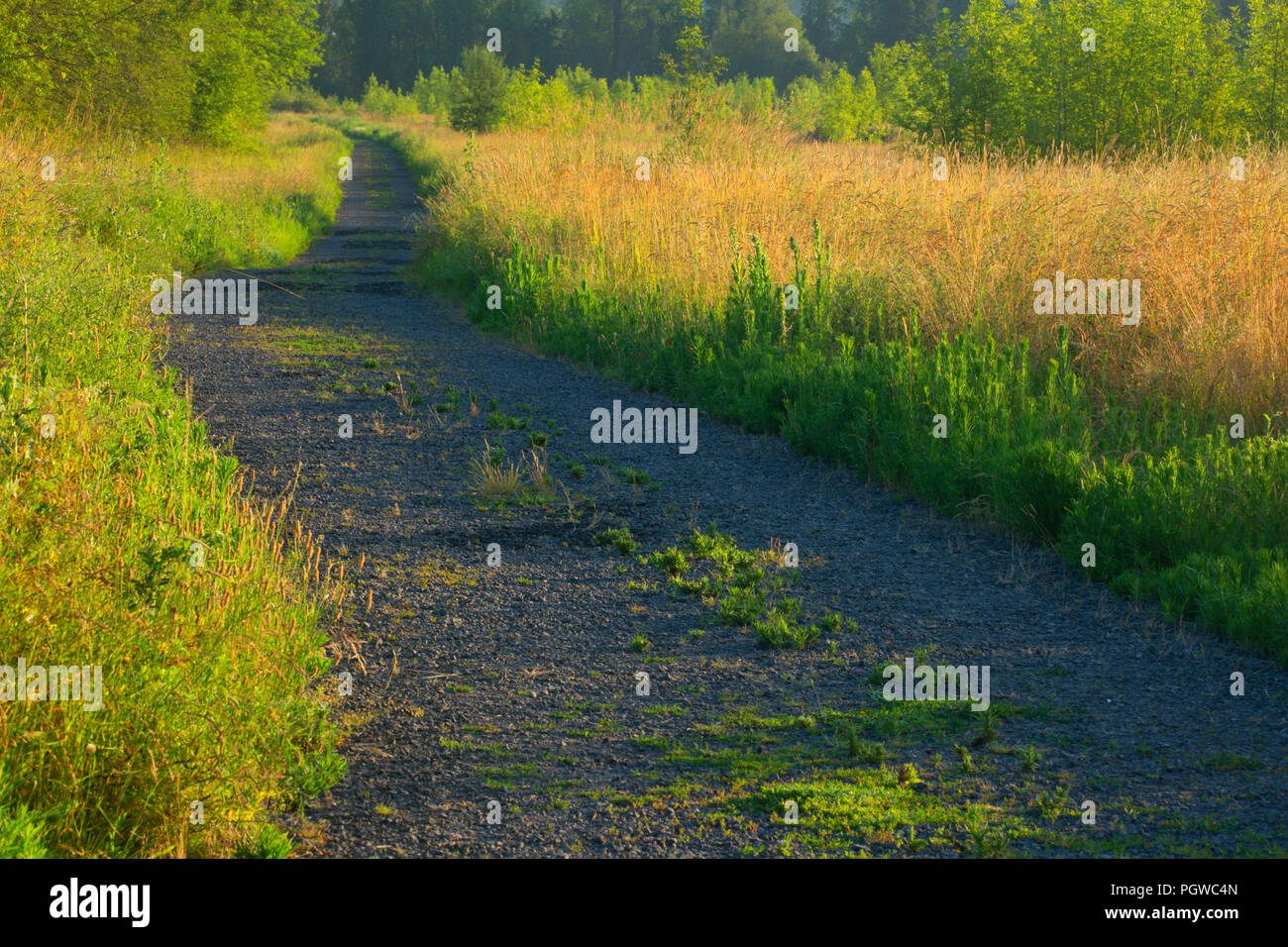 Trail, Tualatin River National Wildlife Refuge, Oregon Stock Photo Alamy