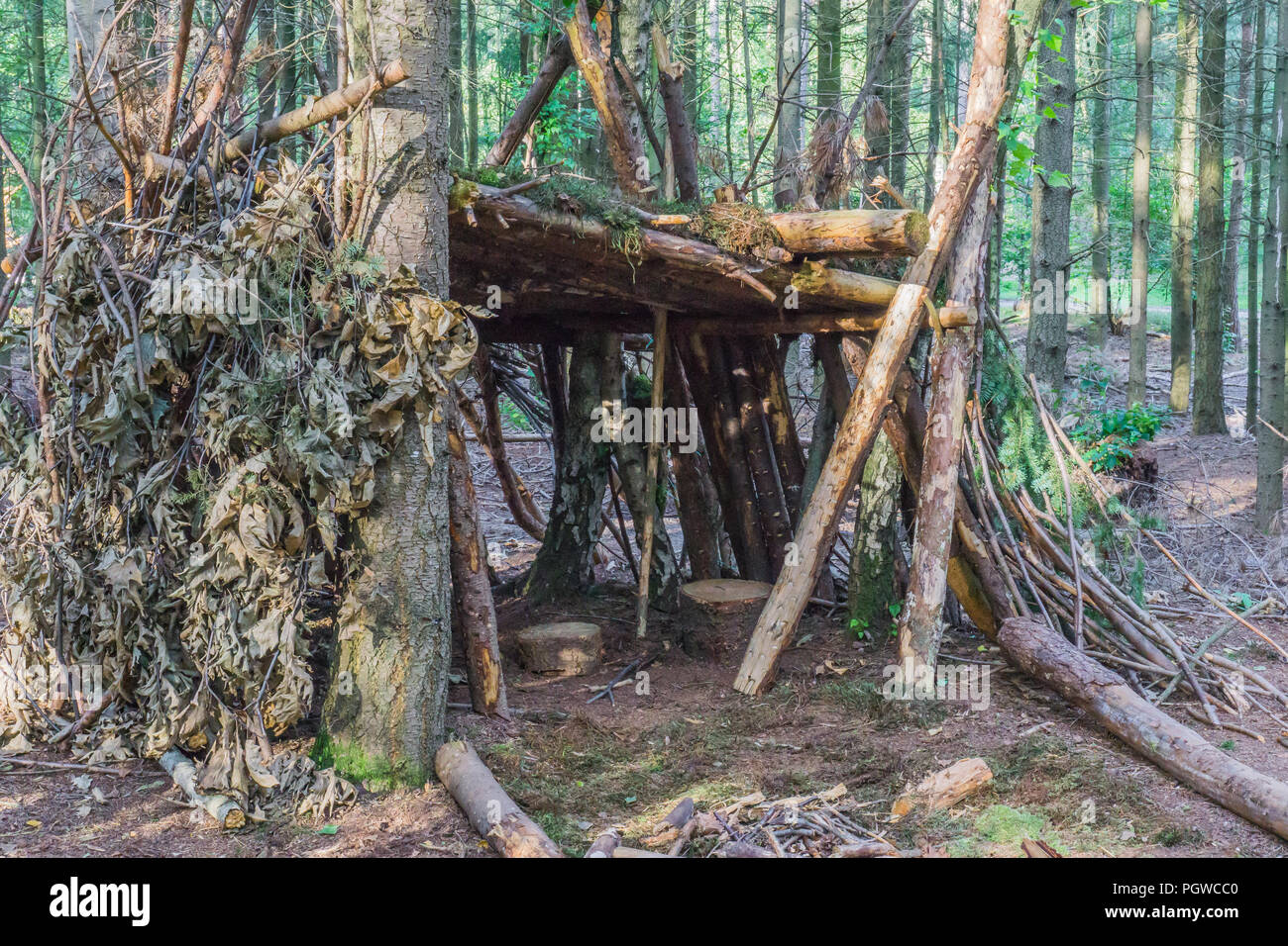 self build tree hut of branches and leaves with seats Stock Photo