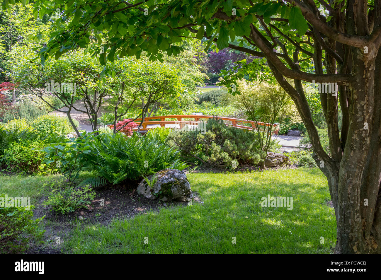 Garden Wooden Bridge And The Plants Stock Photo 216917530 Alamy