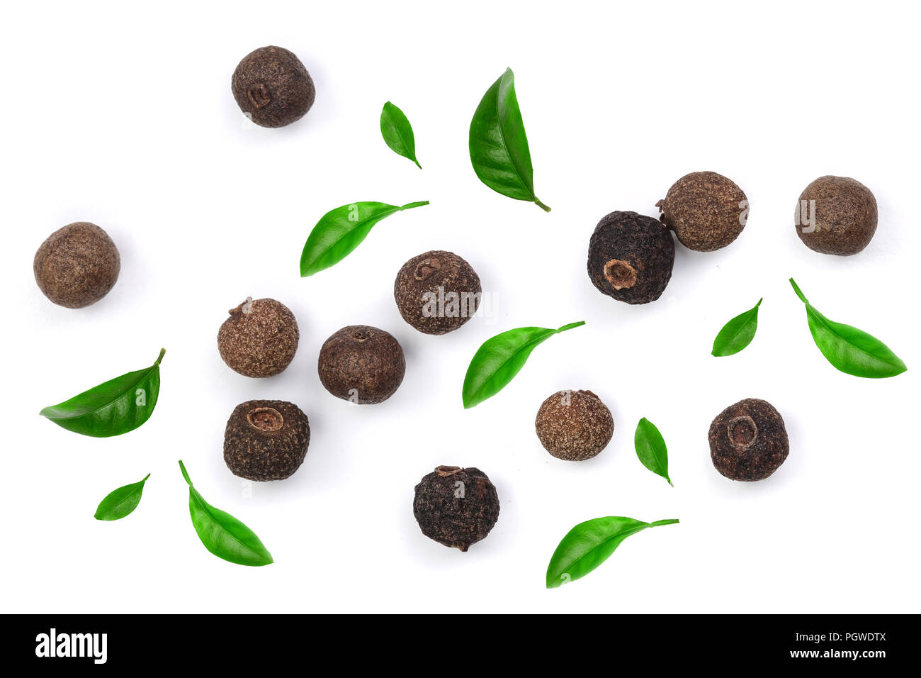 Allspices or Jamaica pepper decorated with green leaves isolated on