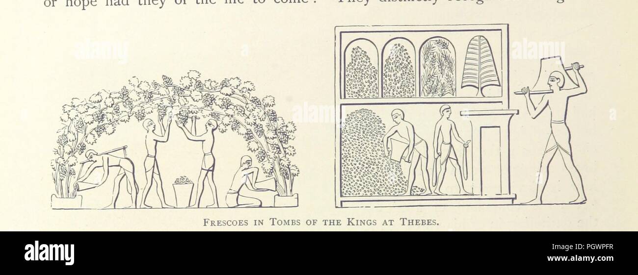 Image from page 134 of '[The Land of the Pharaohs. Egypt and Sinai ...