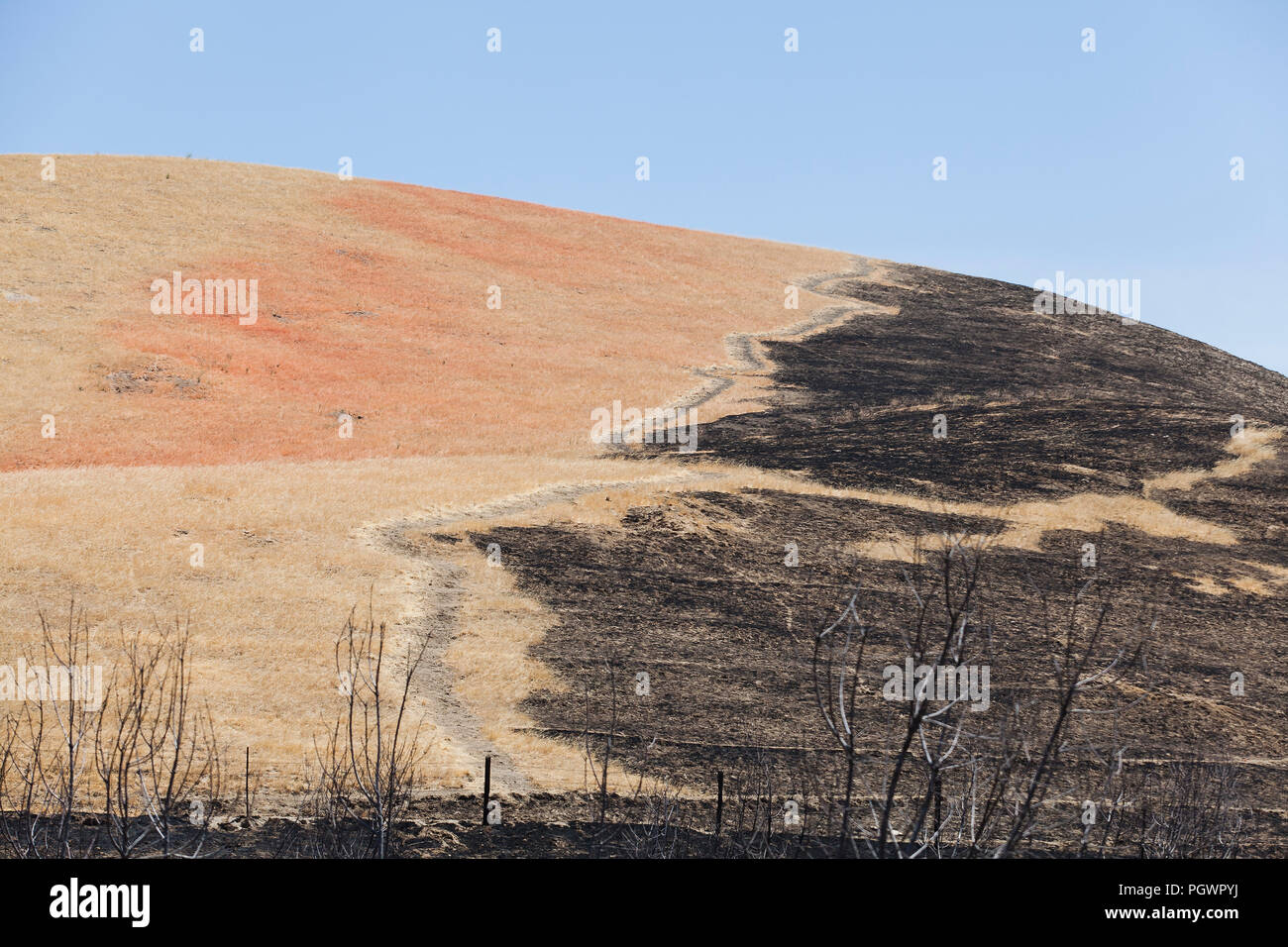Controlled burn (prescribed burn) of dry vegetation - California USA Stock Photo