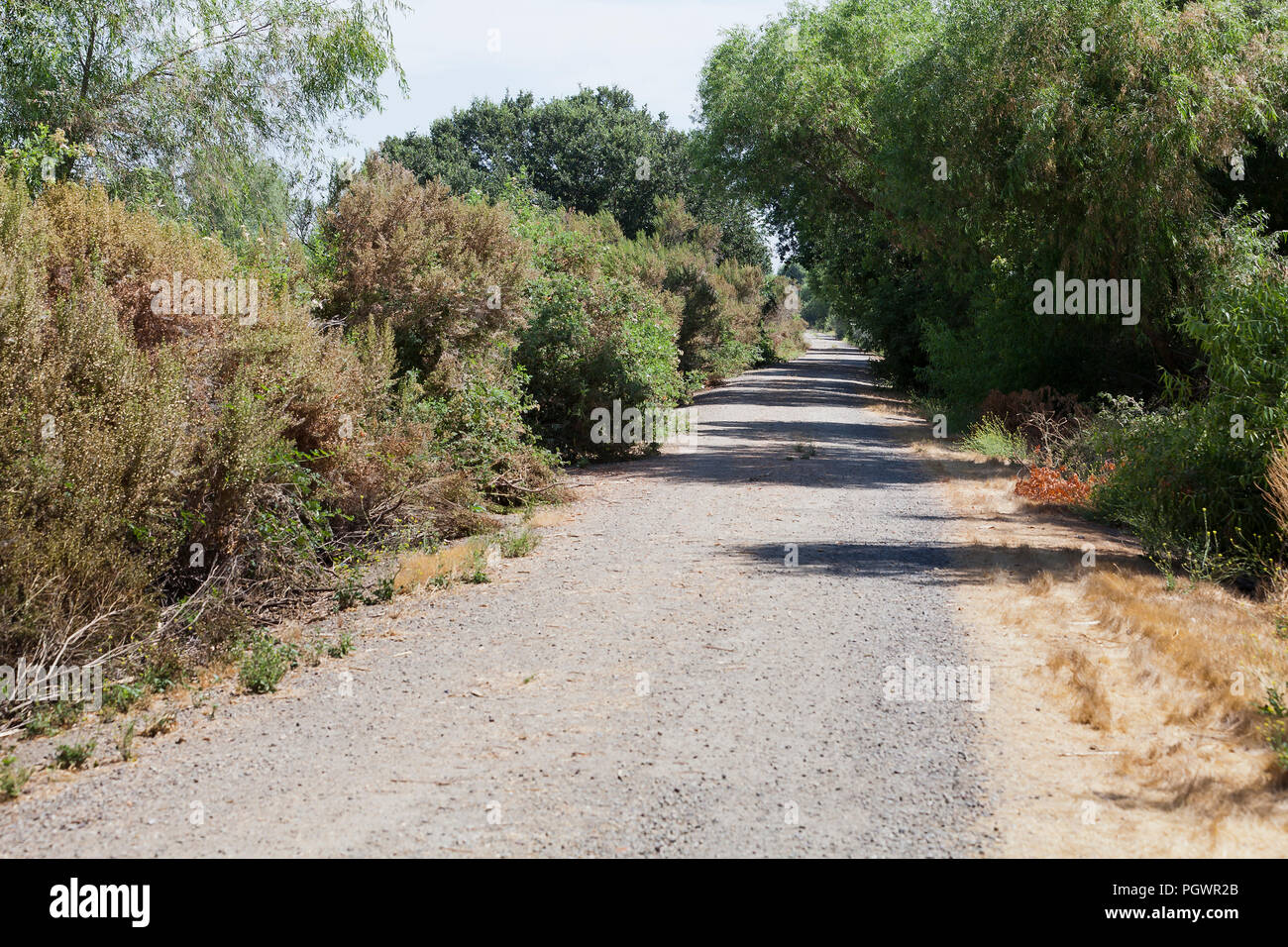 Gravel road in rural area - California USA Stock Photo