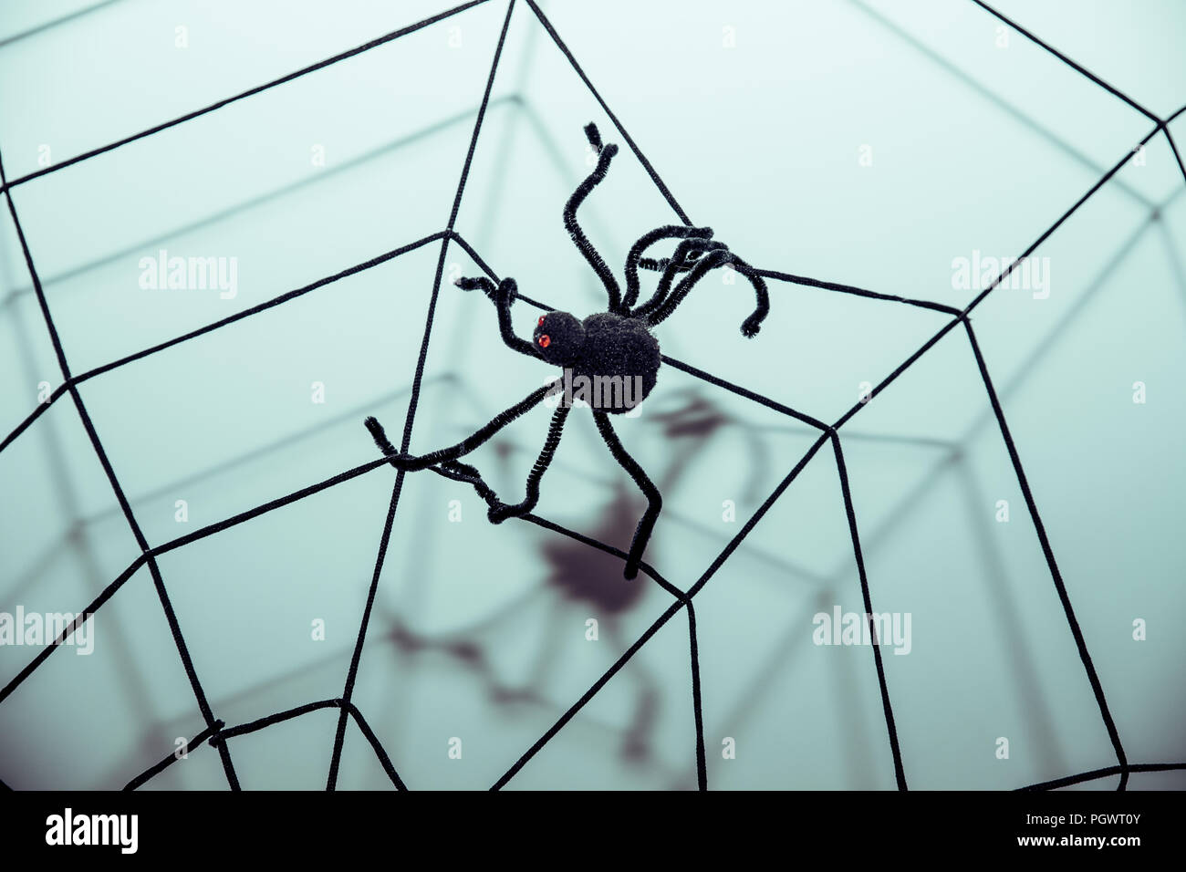 black spider web decoration