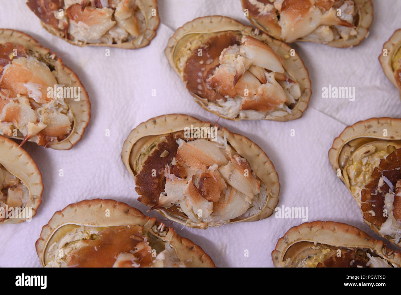 Freshly dressed crabs ready to be sold at the shop of fisherman John