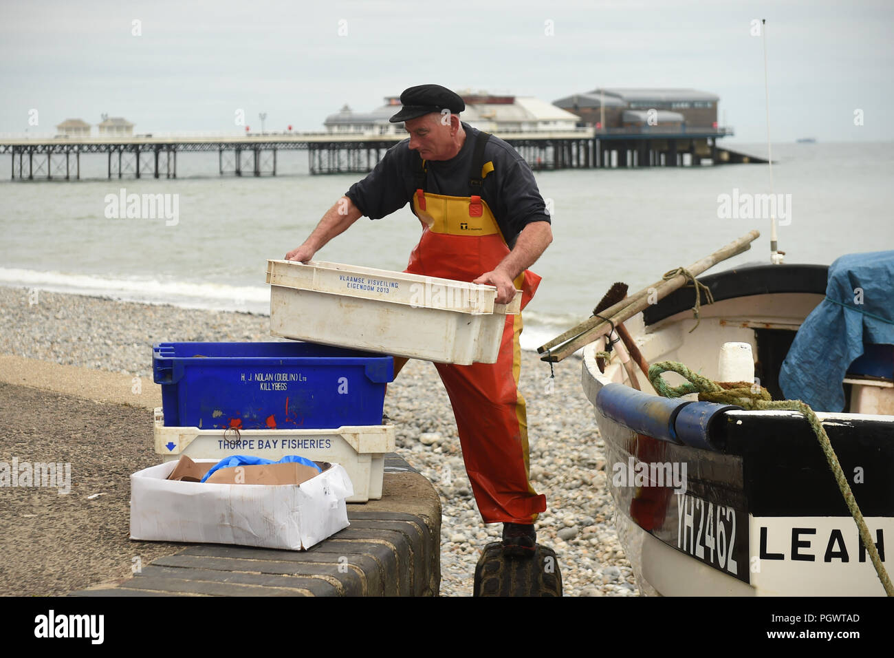 Crab fisherman John Lee brings his haul of crabs ashore at Cromer in