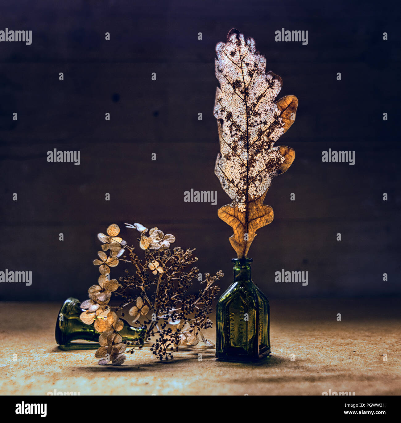 still life with dried flowers and leaves. vintage. retro Stock Photo ...