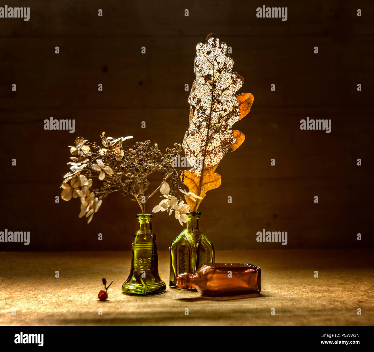 still life with dried flowers and leaves. vintage. retro Stock Photo ...