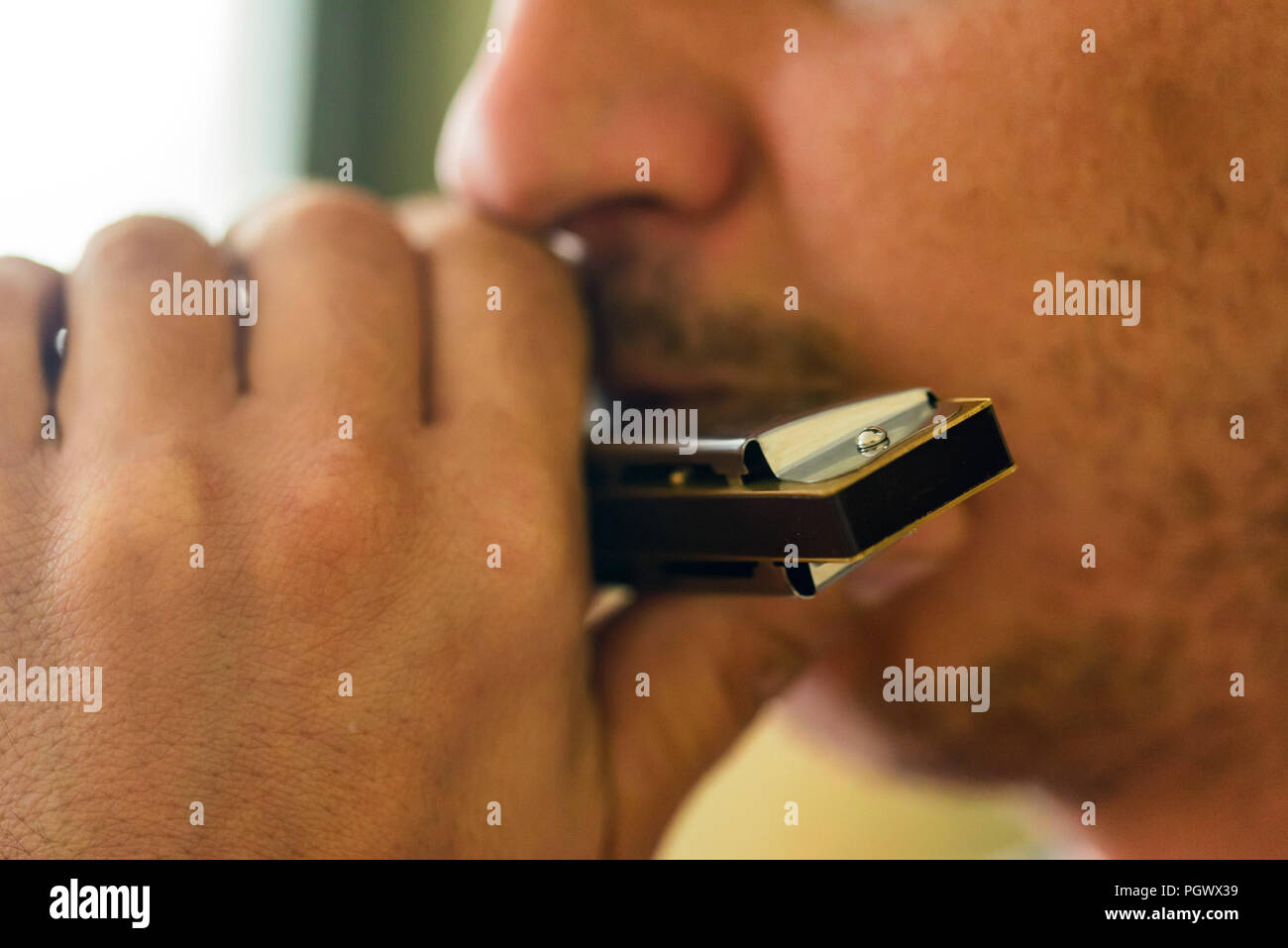Harmonica or French harp, blues harp, and mouth organ Stock Photo Alamy