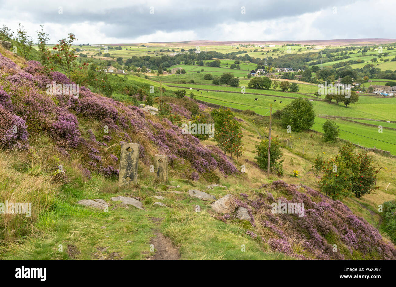 A Yorkshire landscape showing moorland heather and long distant views. Taken in Baildon, Yorkshire, England. Stock Photo