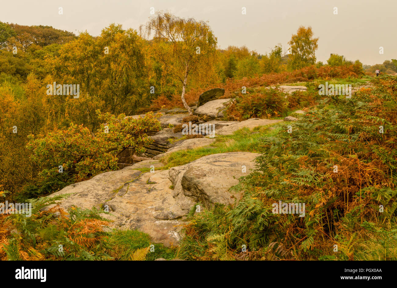 Autumn colour on Shipley Glen in Baildon, Yorkshire. Stock Photo
