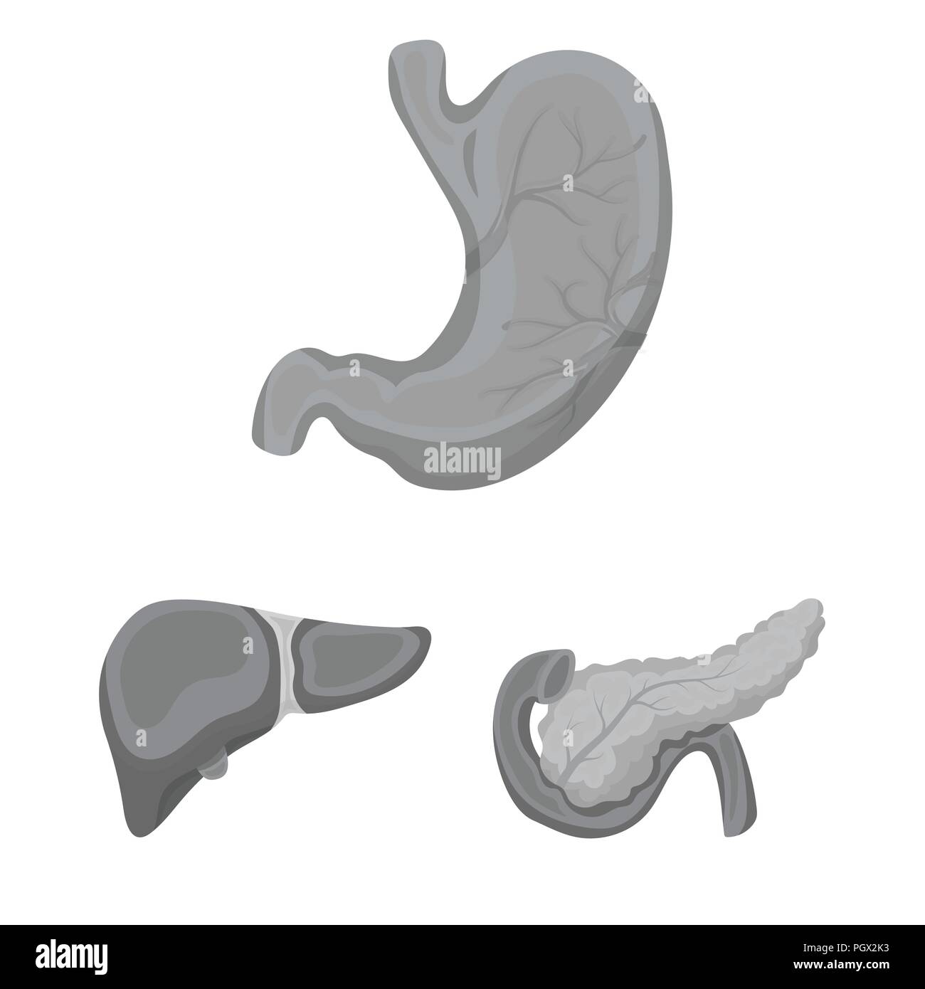 Internal organs of a human monochrome icons in set collection for ...