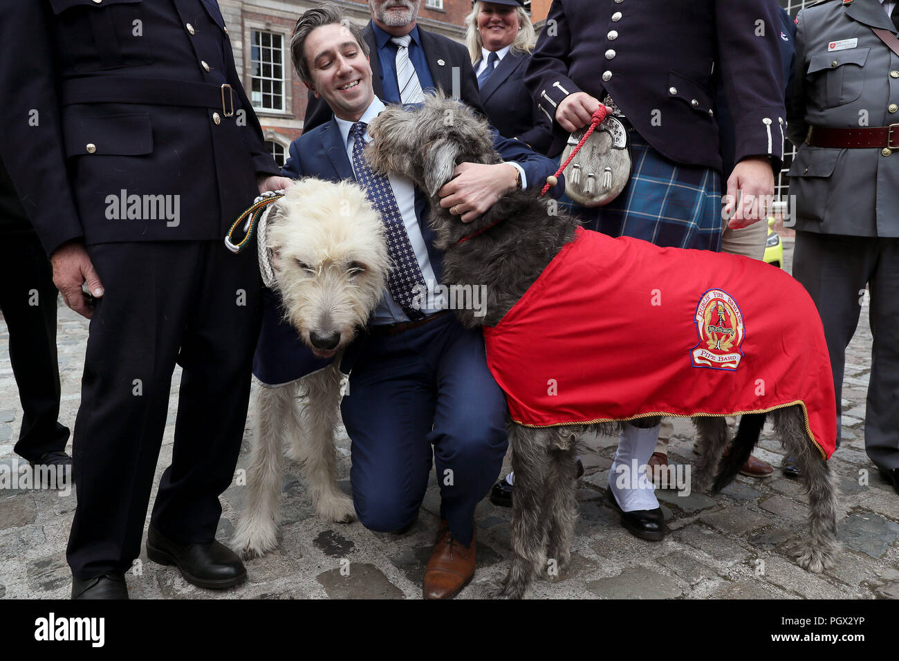 Minister for Health Simon Harris with Irish wolfhounds Darcy (left), mascot to the ambulance service, and Seodin, mascot to the Dublin fire brigade, at the launch of a new national day to recognise the unsung heroes from frontline and emergency services at Dublin Castle. Stock Photo