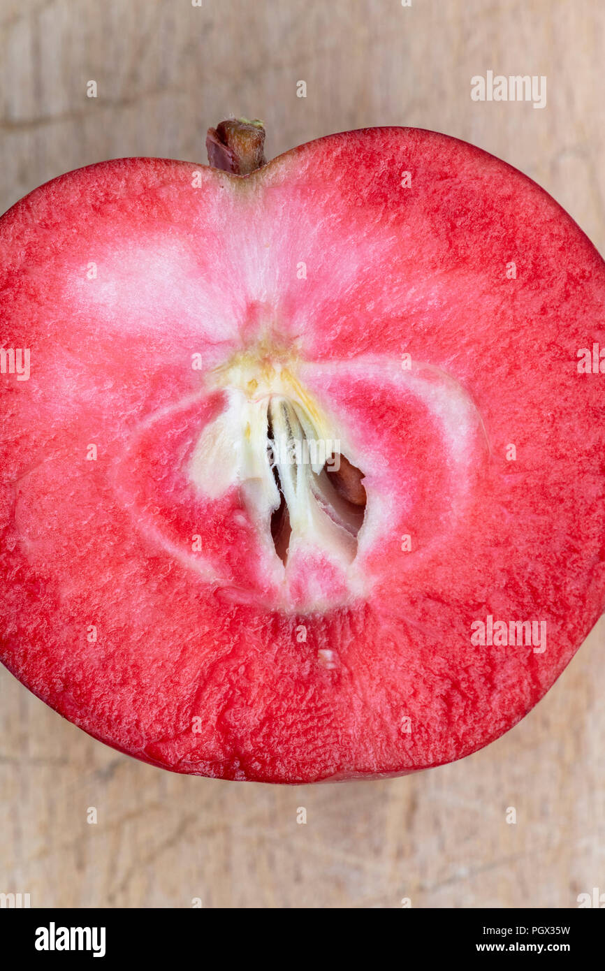 Malus domestica ‘Tickled pink’ / Baya marisa. Harvested Apple ‘Tickled pink’.  Cut in half to show the red flesh Stock Photo