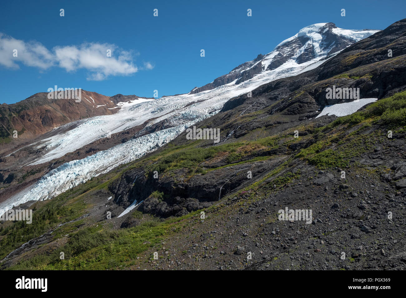 At the end of August, all of winter's snow has melted on Washington State's Mount Baker leaving only glaciers - including Coleman and Roosevelt - to c Stock Photo