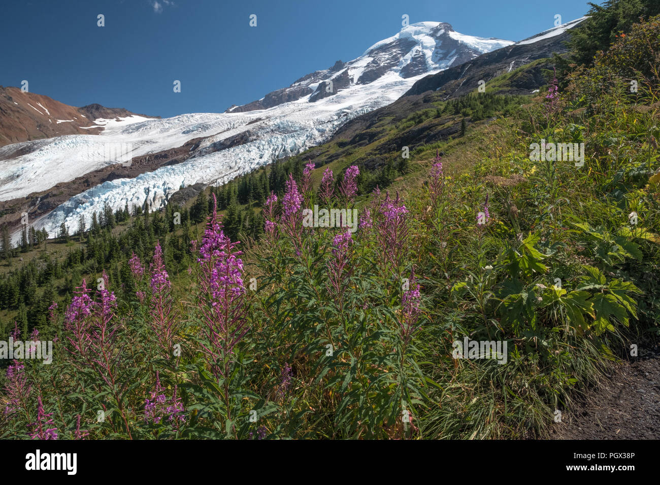 Helioptrope ridge hi-res stock photography and images - Alamy
