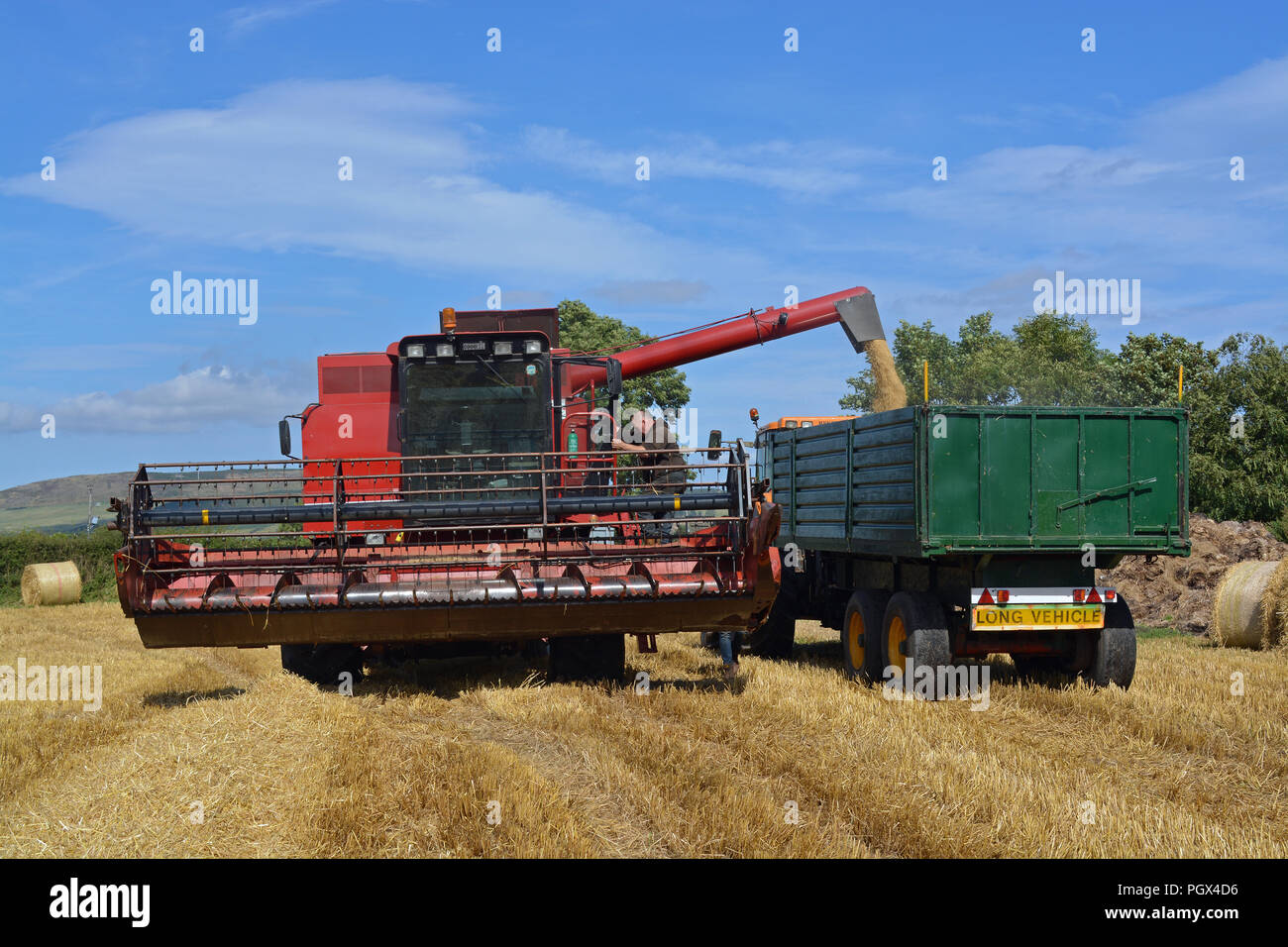 Case International 1660 Combine Harvester Stock Photo