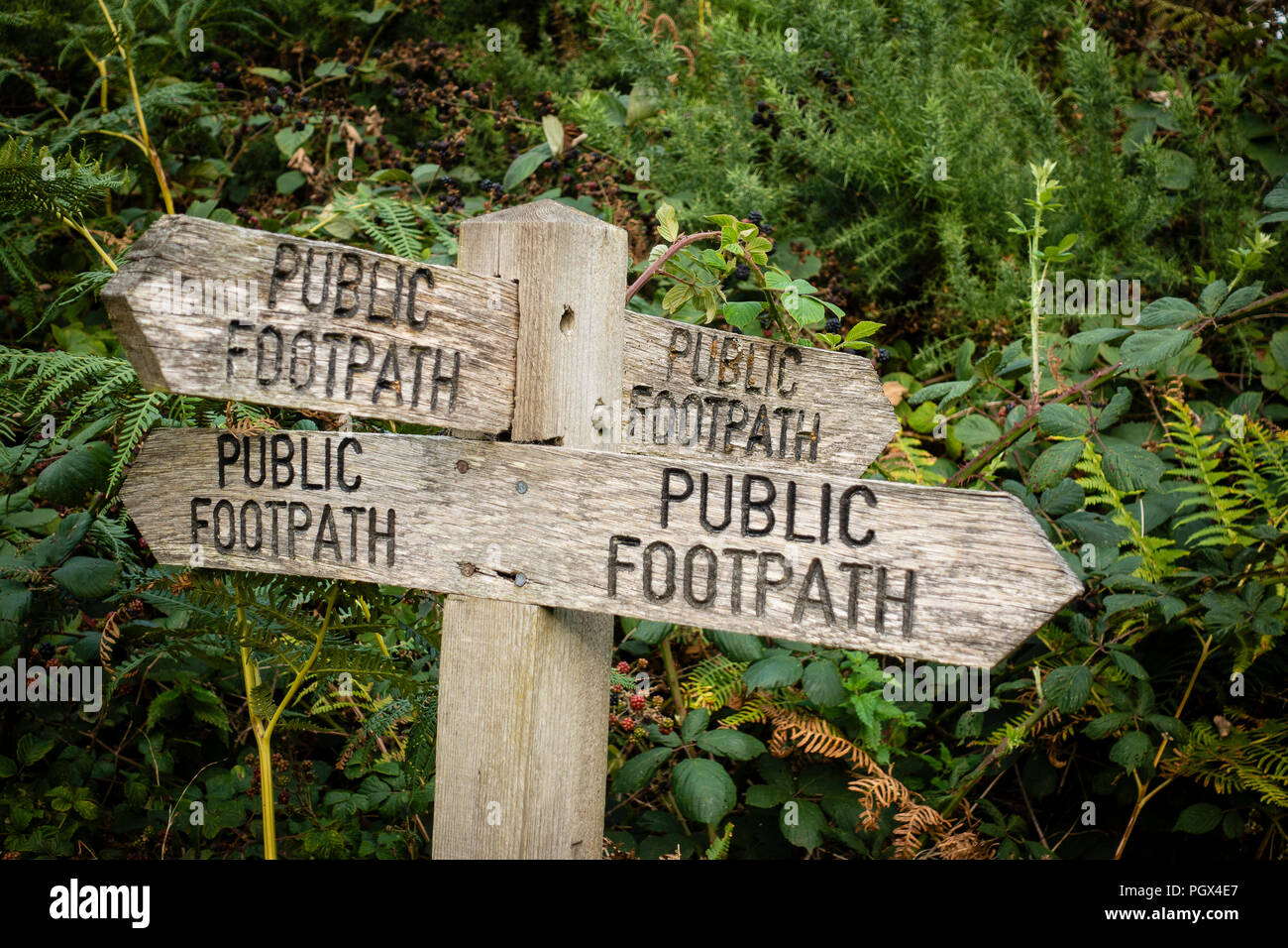 Public footpath signs in Suffolk Stock Photo