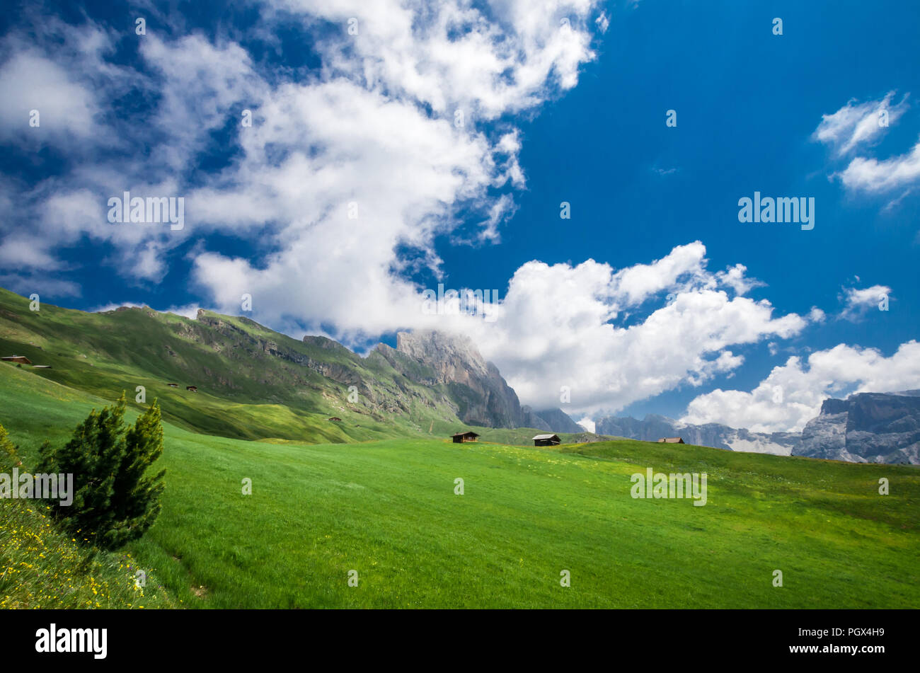 Gruppo delle Odle, view from Col Raiser. Puez Odle massif in Dolomites mountains, Italy, South Tyrol Alps, Alto Adige, Val Gardena, Geislergruppe Stock Photo