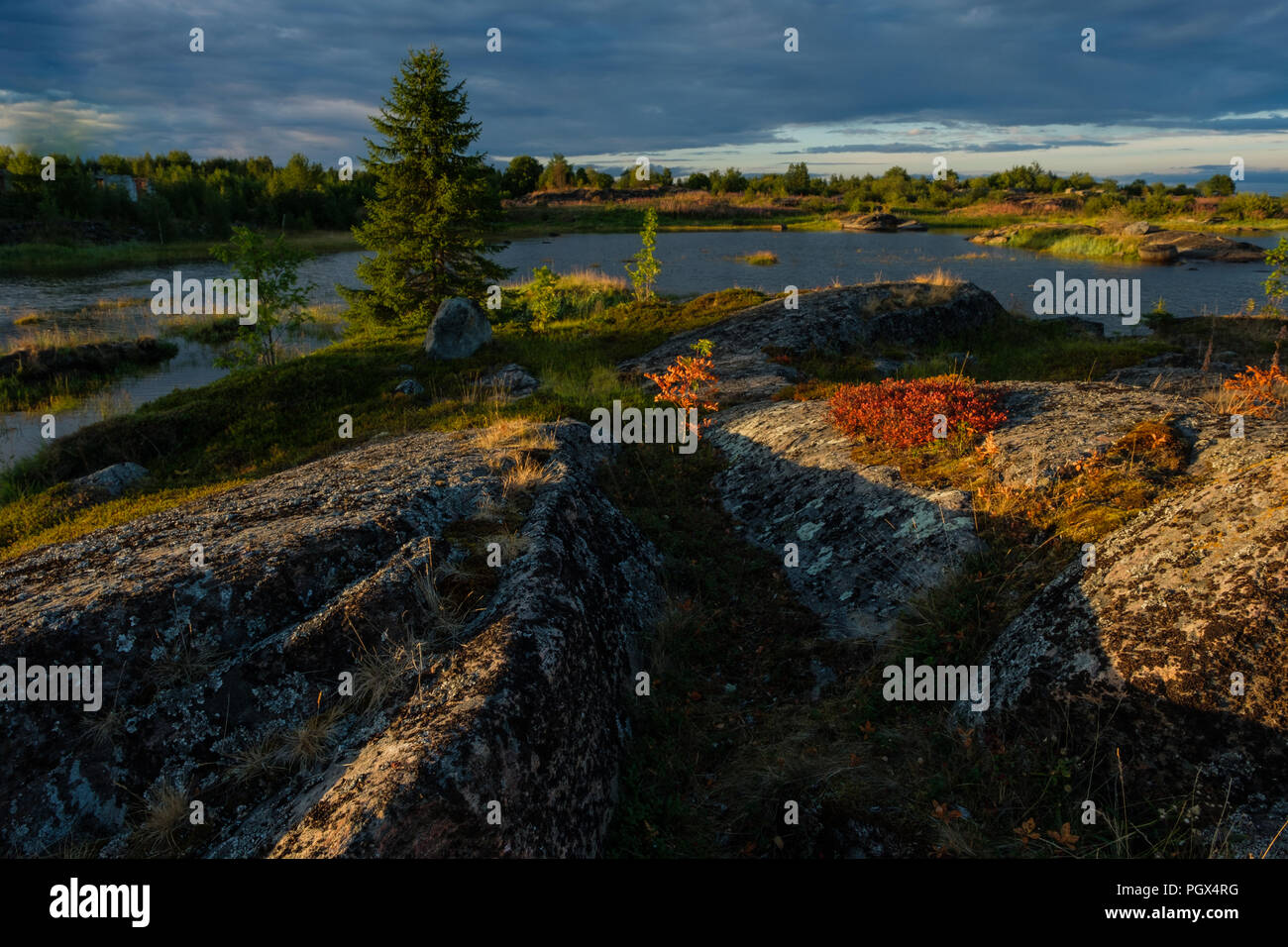 Beautiful landscape in Rabocheostrovsk, Karelia at summer. Stock Photo